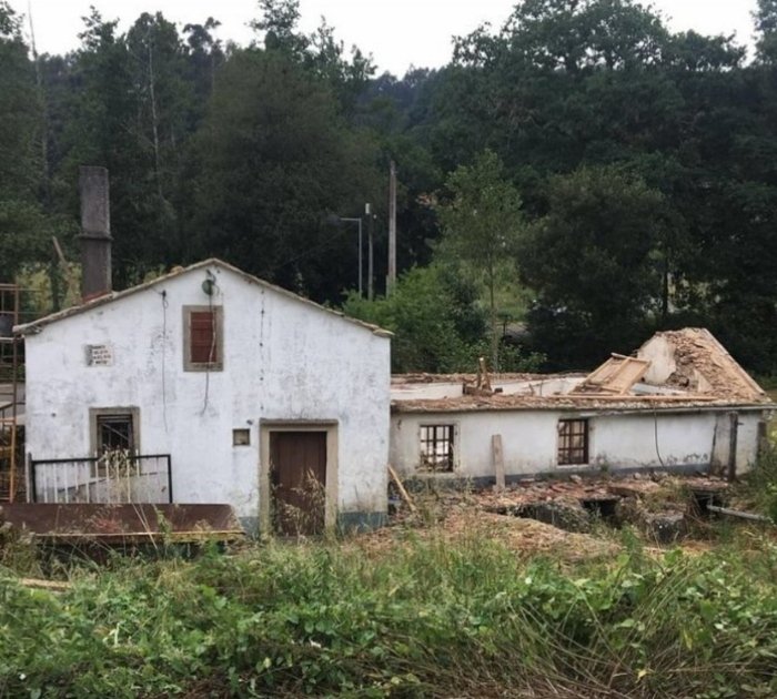 galería - 2026-02-04T164408.919