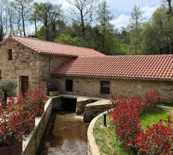 galería - 2026-02-04T164423.671