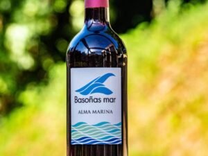 BASOÑAS TINTO
